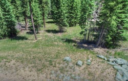 11292 Trailside Loop, Lead, SD 57754