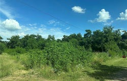 County Road 287, Marlin, TX 76661