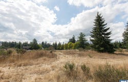 Secor Road lot: 3, Sequim, WA 98382-0000