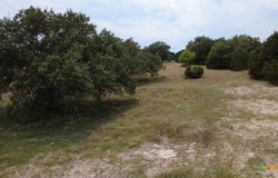CR 4765 lot: 2, Kempner, TX 76539