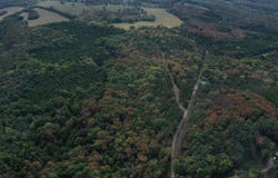 21000 Co Rd 190, Wheatland, MO 65779