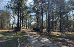 151 Plantation Rd, Carriere, MS 39426