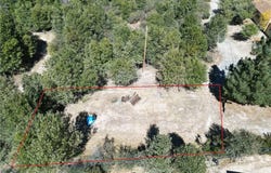 29521 Pineridge, Cedar Glen, CA 92321