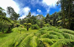 MAILE ST, Pahoa, HI 96778