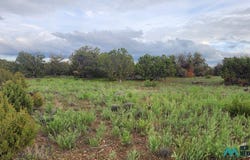 115 Cimarron Drive, Quemado, NM 87829