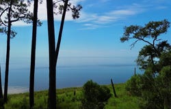 3206 Hwy 98 E, Carrabelle, FL 32323