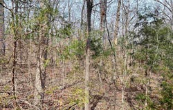 Giles Road, Hardy, AR 72542