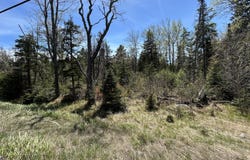 M17/L52-1 Stinchfield Road, Sandy River Plt, ME 04970