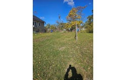 7374 Ellsworth Street, Detroit, MI 48238