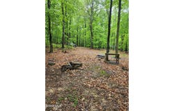 Mosquito Hollow Road, Six Mile Run, PA 16679