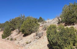 Lakeview Drive, Sandia Park, NM 87047