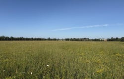 S Manila Rd, Pickford, MI 49774