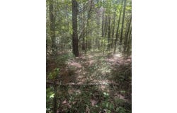 Yates Street, Hawkins, TX 75765