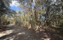 DOLL CONWAY Rd, Clifton, TN 38425