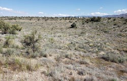 E Salome Drive E, Kingman, AZ 86401