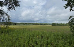 W15976 QUARTER DR, Goodman, WI 54125