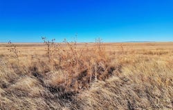 County Road 141, Rush, CO 80833