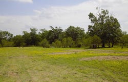 350 Rotan, Corrigan, TX 75939