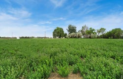 1534 Hauck Meadows Dr, Longmont, CO 80504