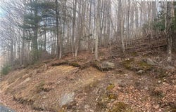 212 Jackpine Road, Beech Mountain, NC 28604