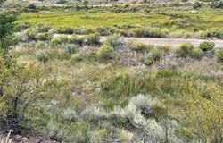 1577 Mears Lane, Salida, CO 81201