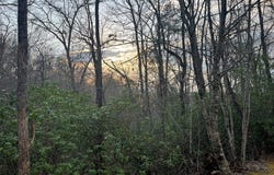 70 Canvasback Ct, Whittier, NC 28789