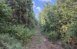48 Lickskillet Road, San Augustine, TX 75972