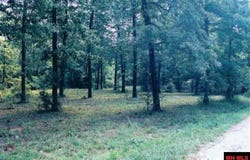 002-11058-011 CR 23, Clarkridge, AR 72623