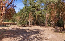 CR 474, Lindale, TX 75771