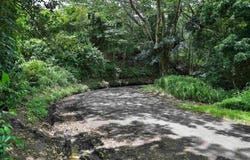 204 Ulalena Loop, Haiku, HI 96708