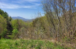 Blue Grass Road, Roan Mountain, TN 37687