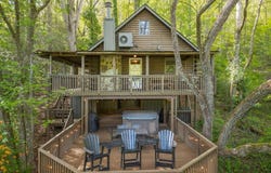 459 Mill Stone Mountain Lane, Blue Ridge, GA 30513