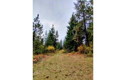 706 mccammon Rd, Elk, WA 99009
