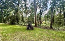 115 THOMPSON ROAD, West Monroe, LA 71291
