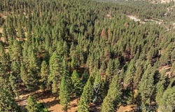 6 Willow Dr, Lowman, ID 83637