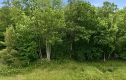 Goose Lake, Spooner, WI 54801