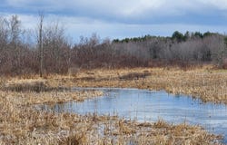 5 Goose River Estates, Swanville, ME 04915