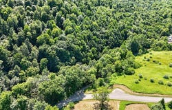 407 Reniff Rd, Lockwood, NY 14859
