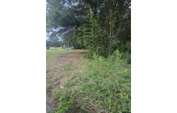 W Highway 49, Daingerfield, TX 75638
