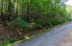 Rhododendron Drive, Saluda, NC 28773