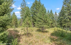NKA E Forest View Rd, Athol, ID 83801