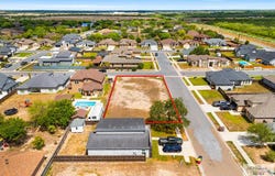 ARECA PALM, BROWNSVILLE, TX 78526