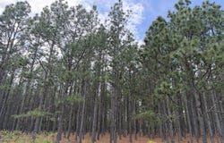 09 Barge Road, Lumpkin, GA 31815