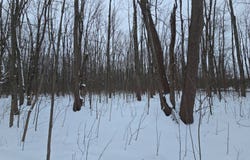 0WP Petrie Rd, Sullivan, NY 13030