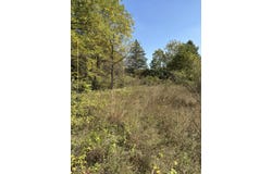 19200 Stonefield Drive, Manchester, MI 48158
