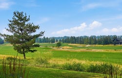 515 Black Bull Trail, Bozeman, MT 59718