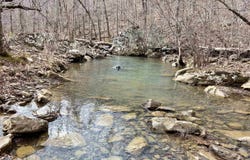 Watson Rd, Clinton, AR 72031