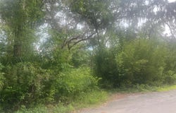 NE 32ND Street, SILVER SPRINGS, FL 34488