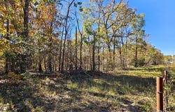 State Route Nn, Mountain View, MO 65548
