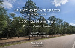 39599 Harris Dr, Independence, LA 70443